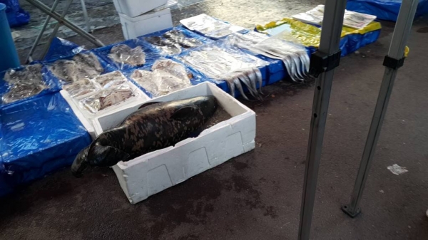 충남 계룡시 한 시장에서 상괭이가 판매되고 있는 모습.(사진 핫핑크돌핀스 제공)
