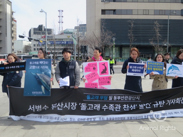 동물보호단체 활동가들이 20일 정오 서울 광화문광장에 모여 서병수 부산시장을 규탄하는 기자회견을 개최했다.