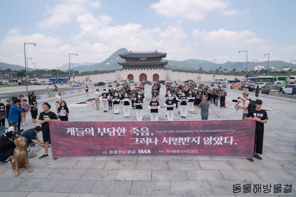 지난 7월 17일 서울 광화문 광장에서 열린 '복날추모행동' 행사 모습. 동물해방물결은 이날 '개 도살 금지를 촉구하는 세계인의 요구 서한'을 청와대에 전달했다.(사진 동물해방물결 제공)