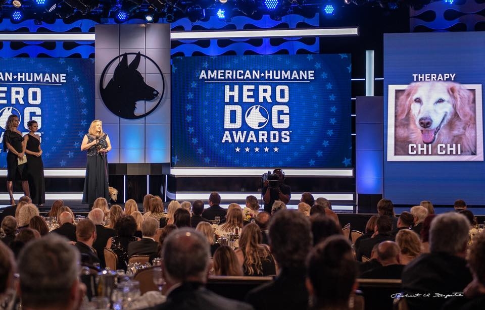 치치는 29일(현지시간) 미국 로스앤젤레스 베벌리힐스 더 베벌리 힐튼에서 열린 '히어로 도그 어워드'(Hero Dog Awards) 시상식에서 최종 수상의 영예를 안았다.