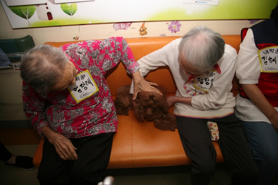 '둥글개봉사단'(단장 이웅종 연암대 교수)은 9일 청파의료재단 중앙장기요양병원을 찾아 동물매개치유 봉사활동을 펼쳤다.(사진 둥글개봉사단 제공)