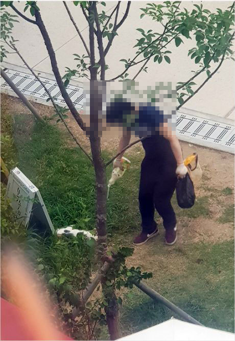 서울 마포구 경의선숲길에서 정씨로 추정되는 남성이 나무에 독약을 살포하는 모습. 사진은 현장 부근에 설치된 폐쇄회로(CC)TV에 찍힌 모습. (사진 인스타그램 캡처)