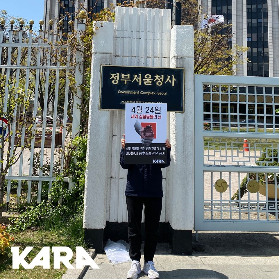 동물권행동 카라(대표 임순례)는 세계 실험동물의 날인 24일 서울정부청사 앞에서 미성년자의 동물 해부실습을 금지하는 동물보호법 시행규칙의 예외 조항 수정을 요구하는 1인 시위를 벌였다.(사진 카라 제공)